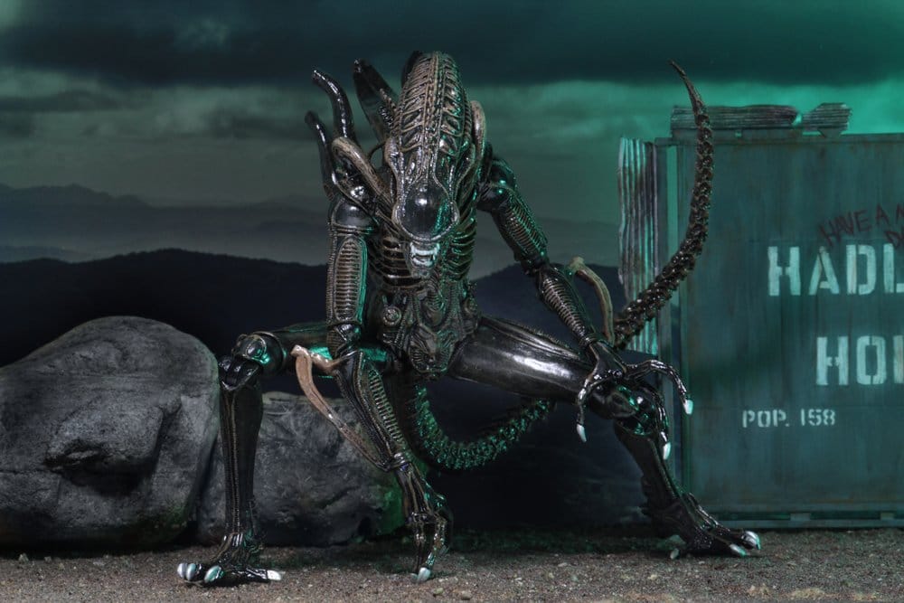 x_neca51683-01_c