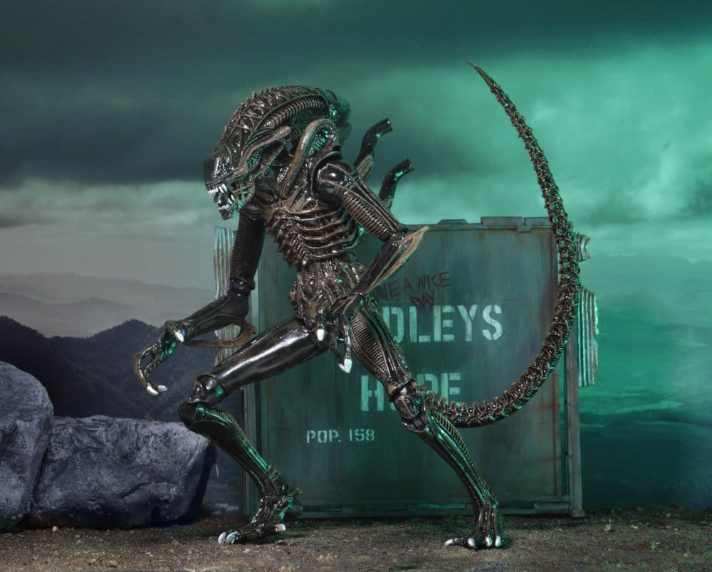 x_neca51683-01_d
