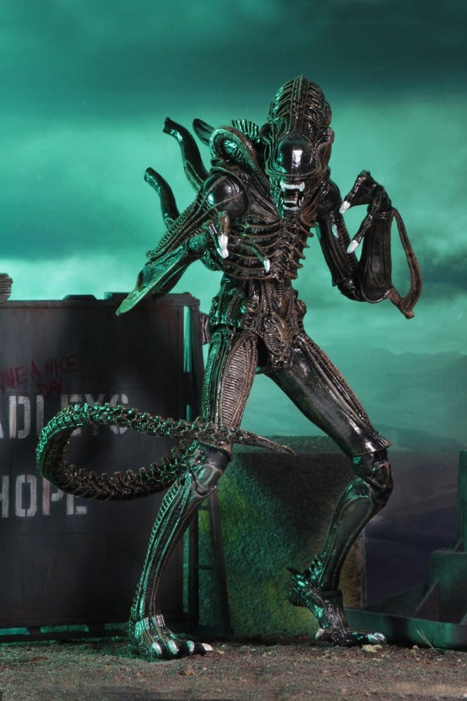 x_neca51683-01_e