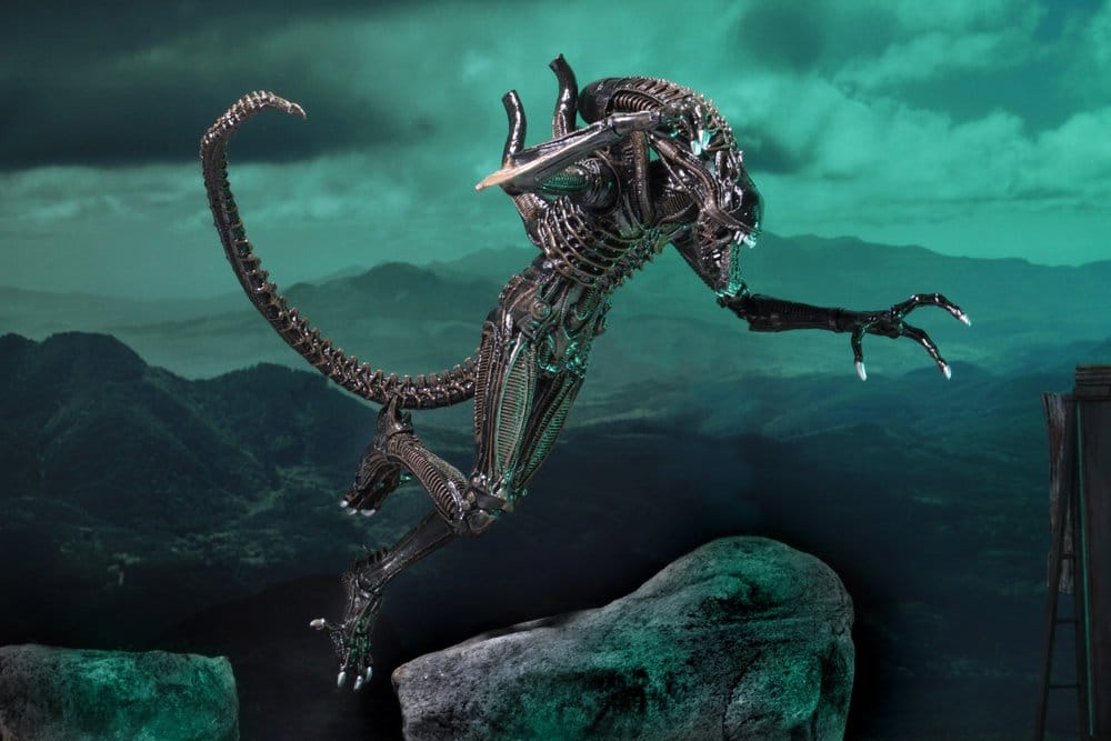x_neca51683-01_f