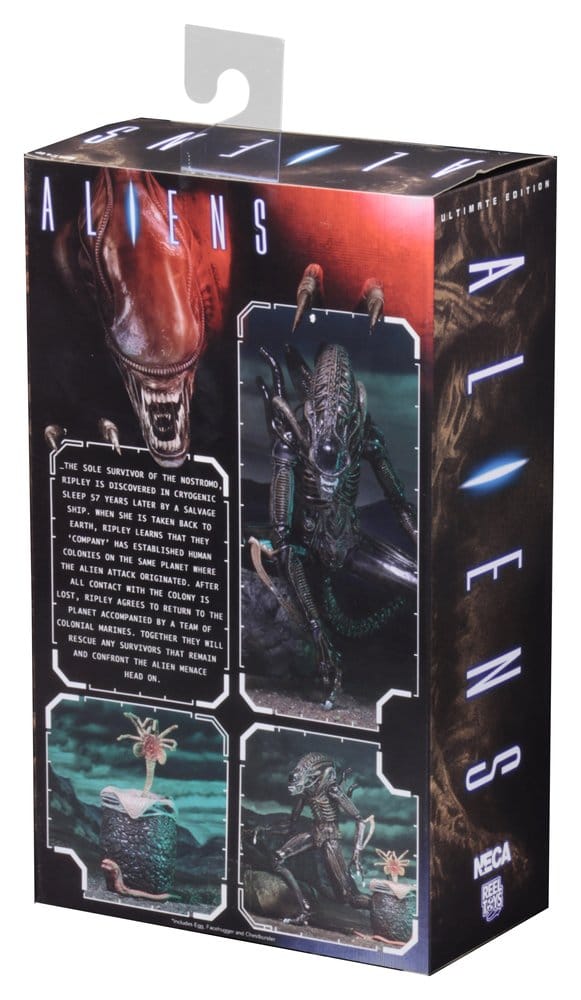 x_neca51683-01_h