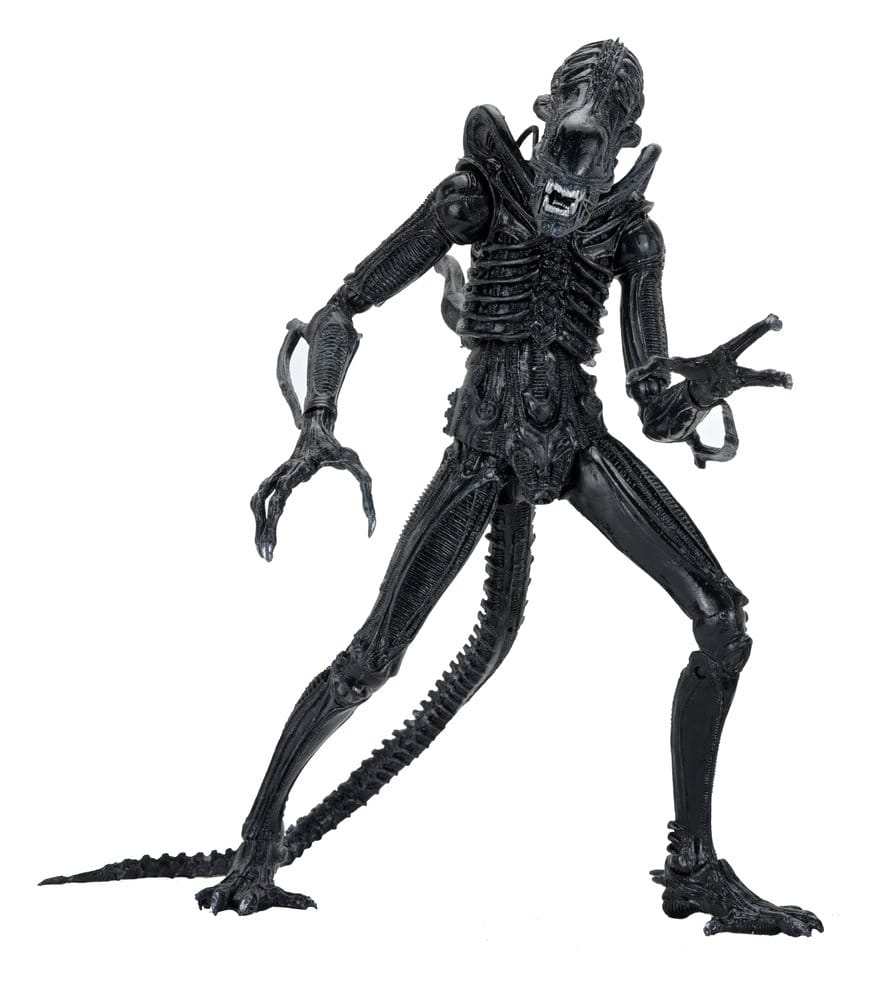 x_neca51796-01