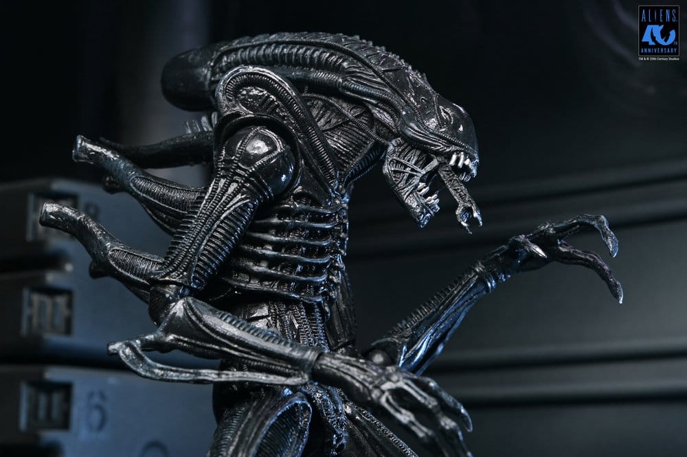 x_neca51796-01_c