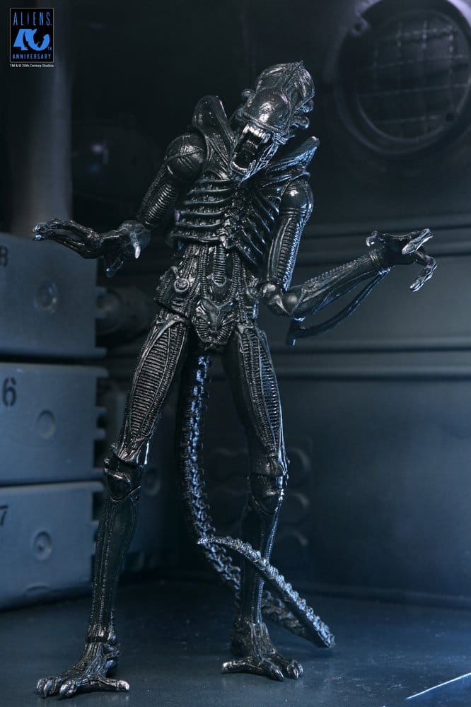 x_neca51796-01_d