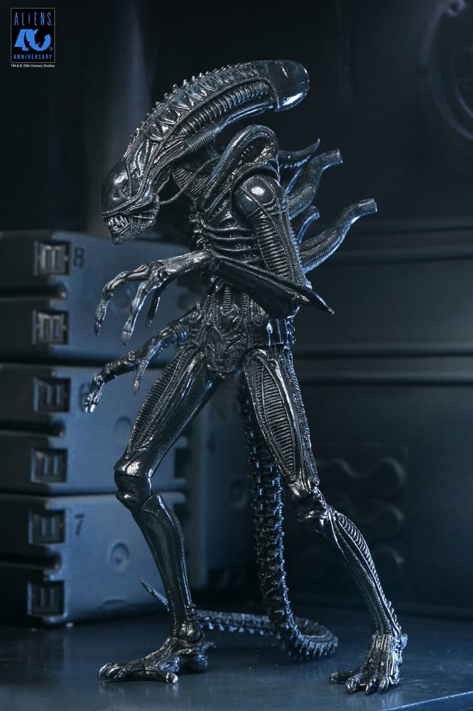 x_neca51796-01_e