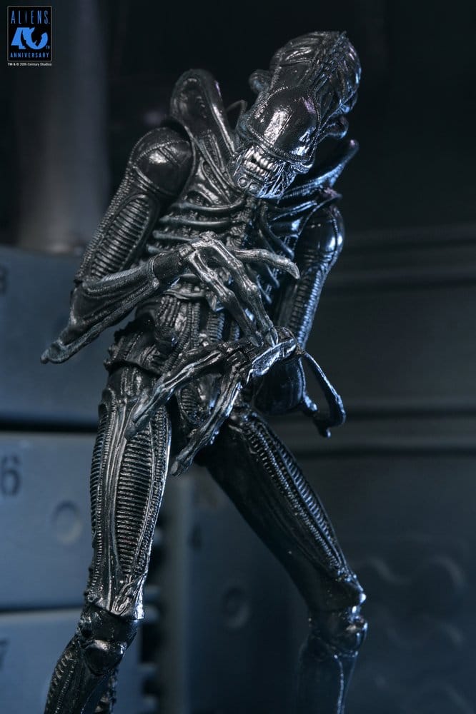 x_neca51796-01_f