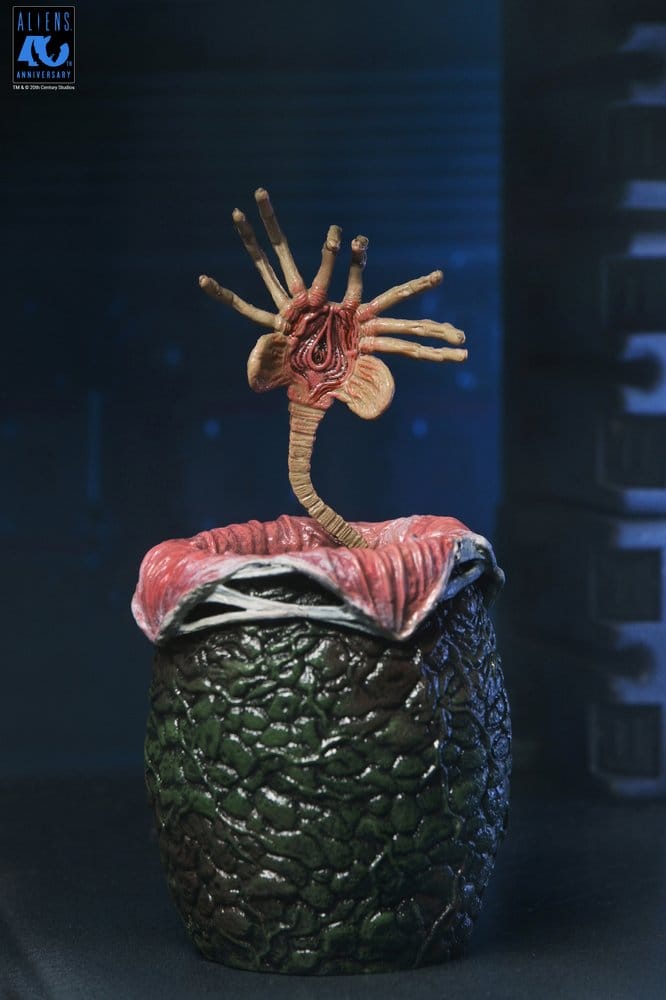 x_neca51796-01_g