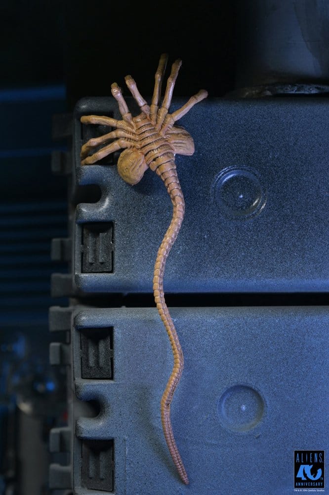 x_neca51796-01_h