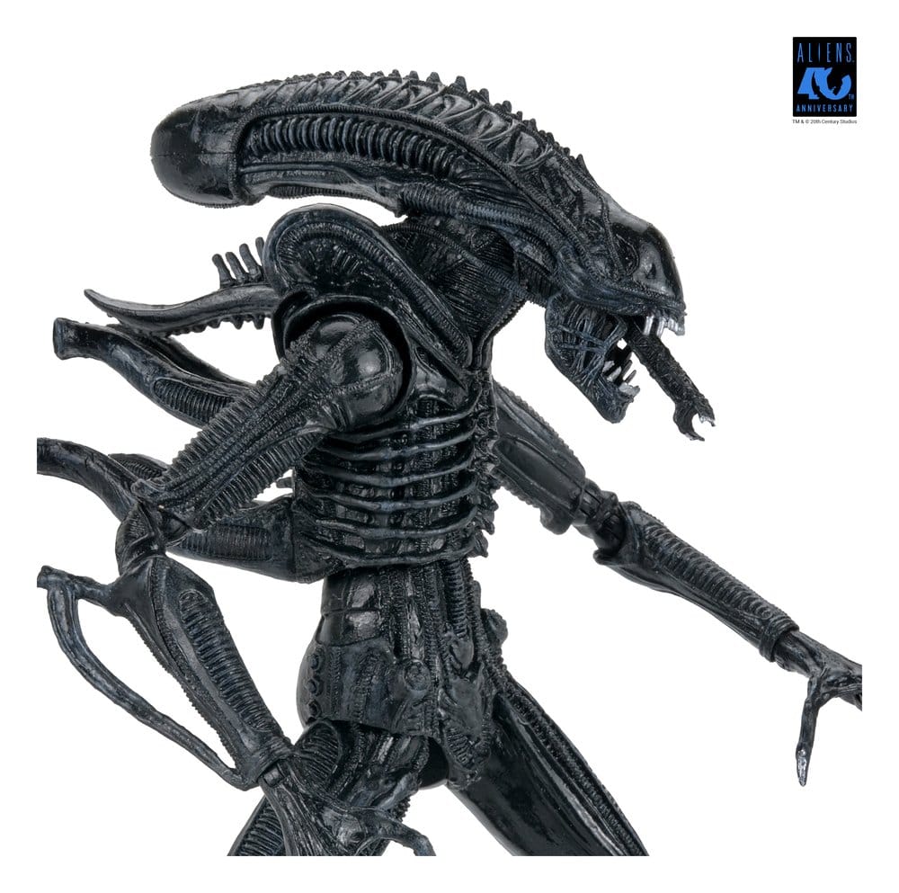 x_neca51796-01_j
