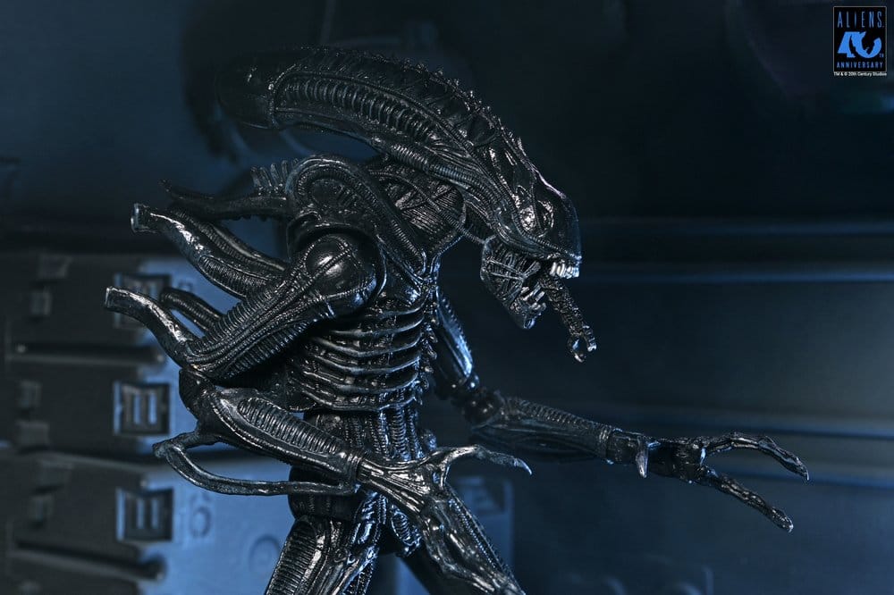 x_neca51796-01_k