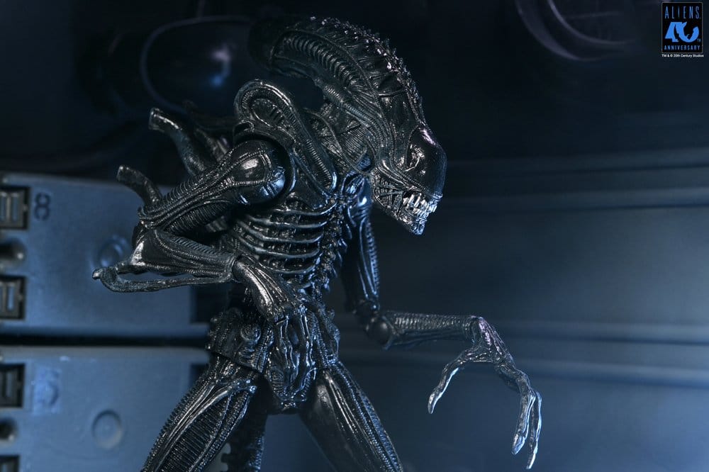 x_neca51796-01_l