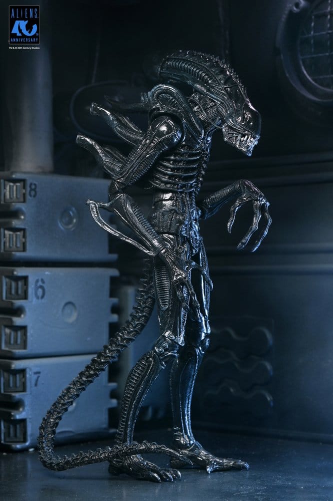 x_neca51796-01_m