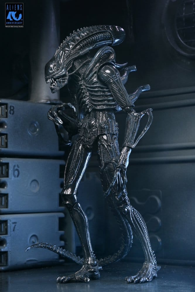 x_neca51796-01_n