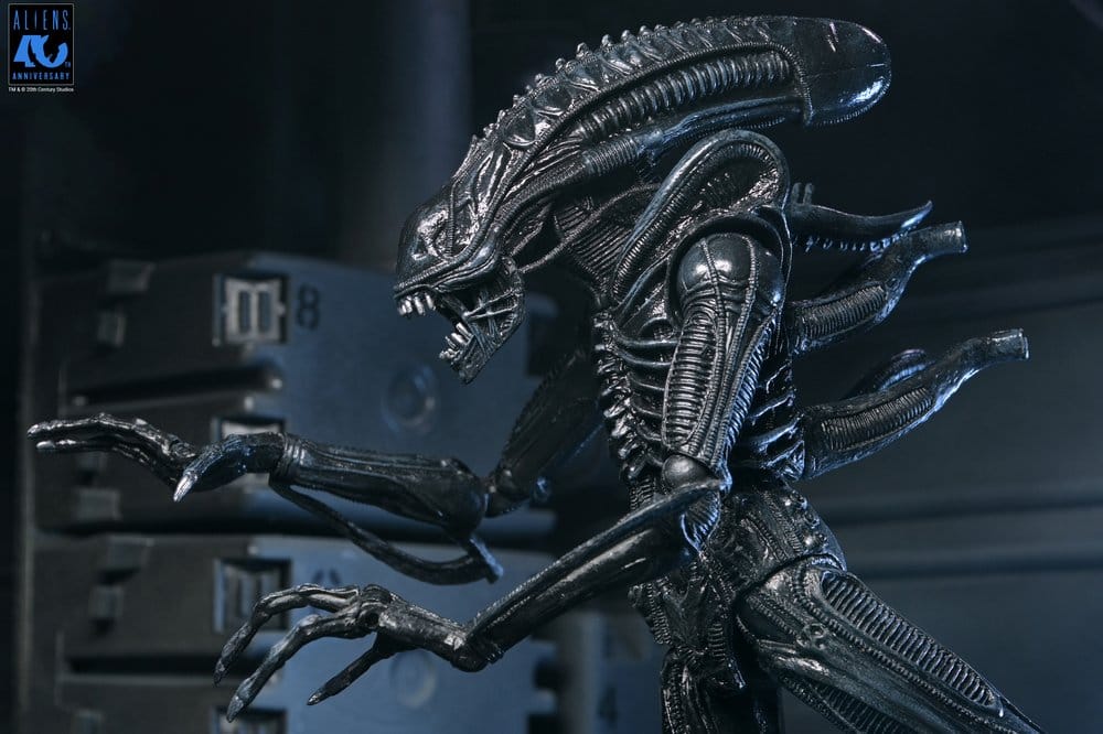 x_neca51796-01_o