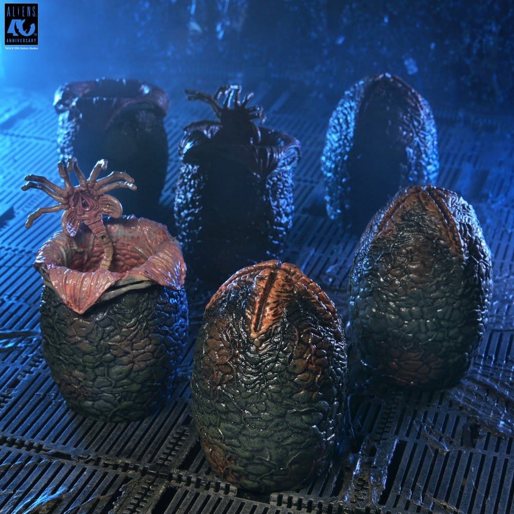 x_neca51798-01_b