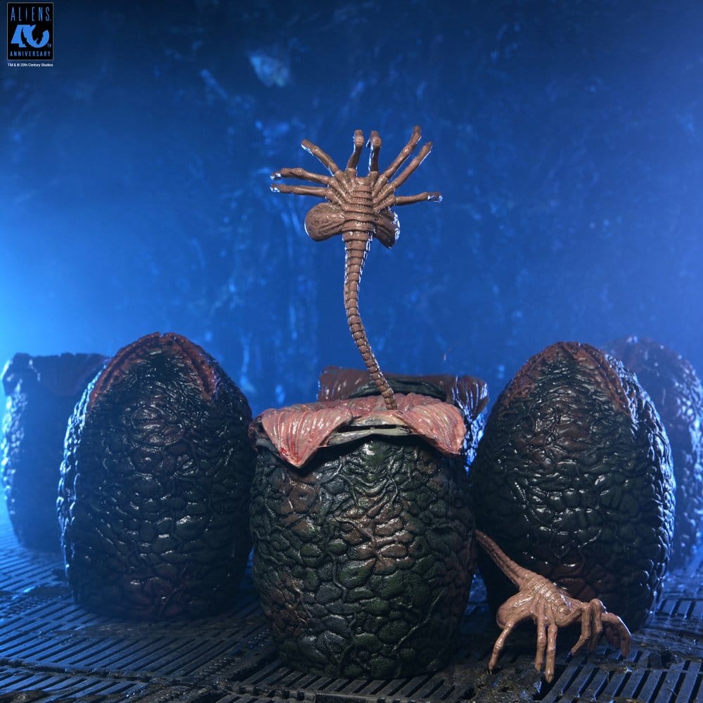 x_neca51798-01_c