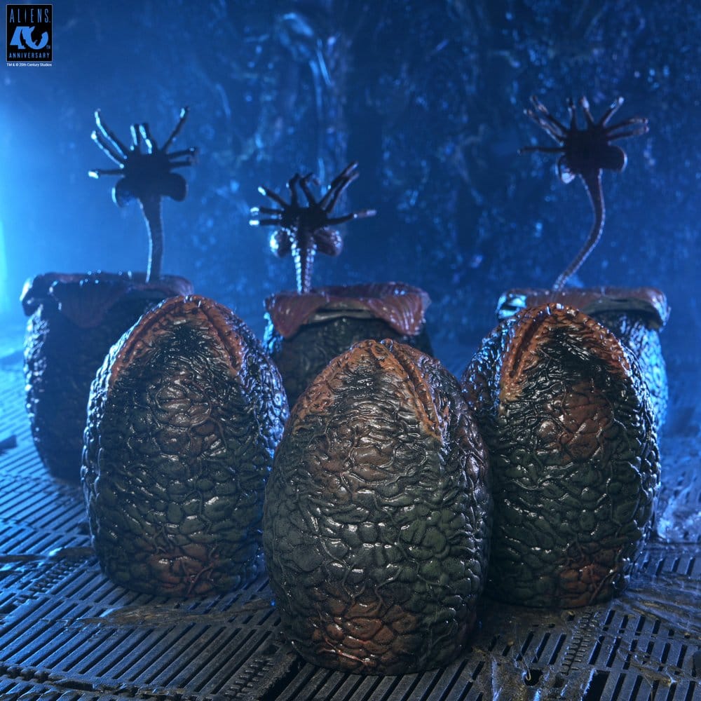 x_neca51798-01_d
