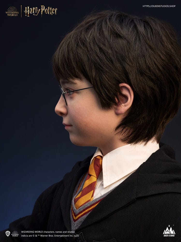 x_qs-harrypotter-bust_j