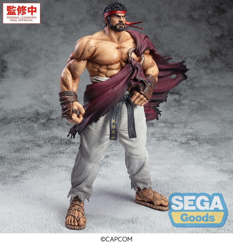 x_sega56917