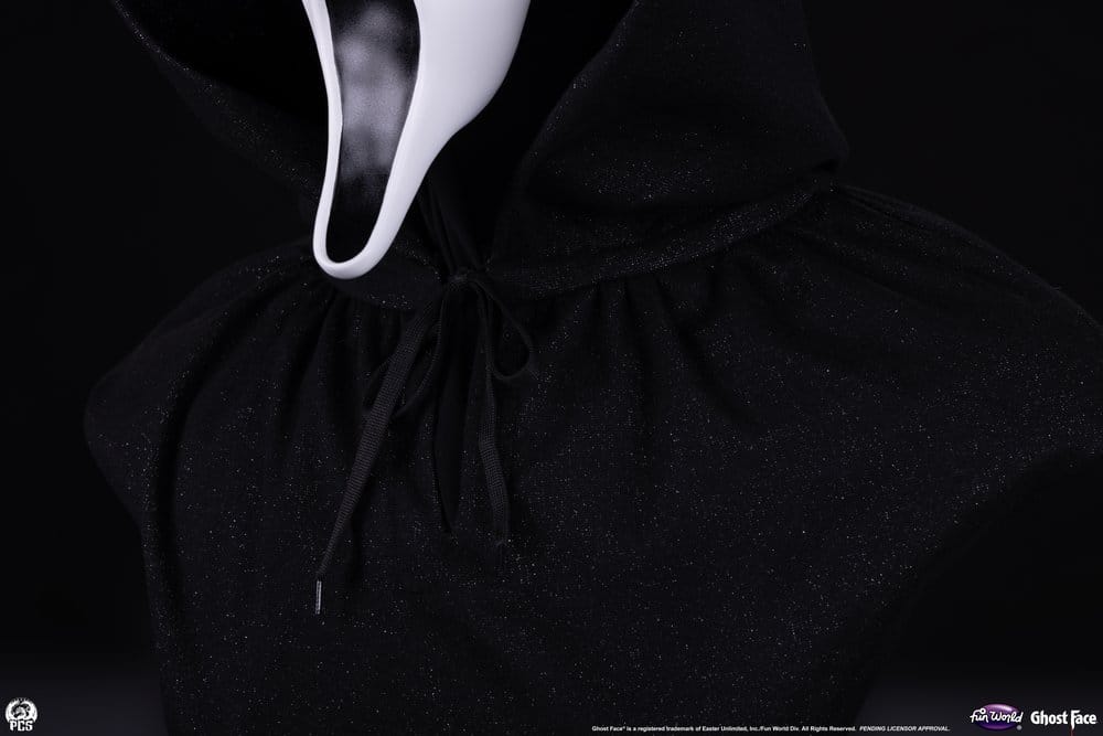 x_pcsgfacelsb_h