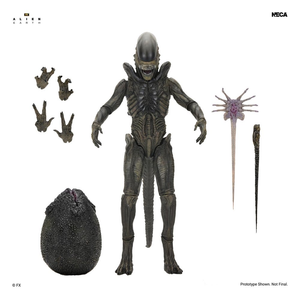 x_neca51756-01_a