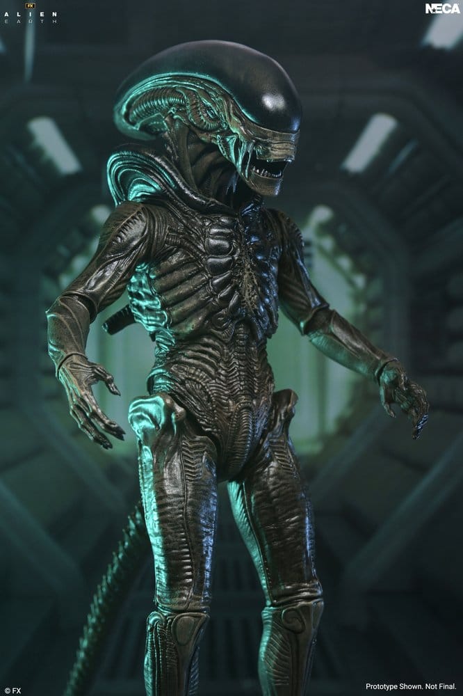 x_neca51756-01_b