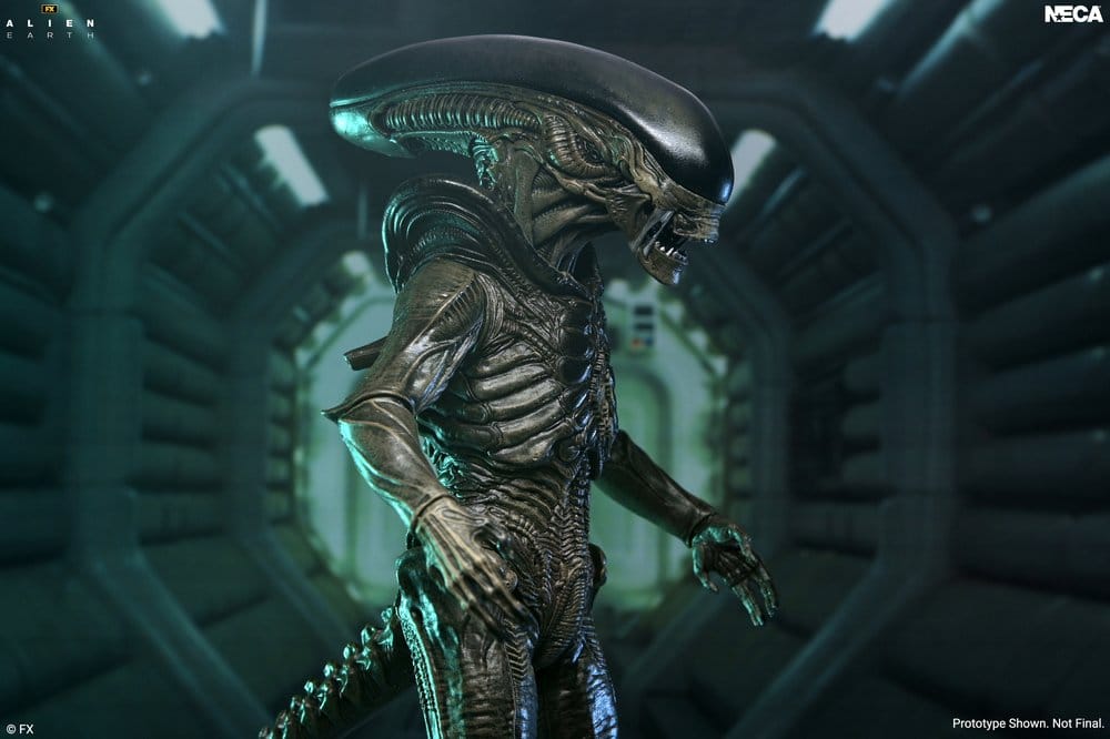 x_neca51756-01_c