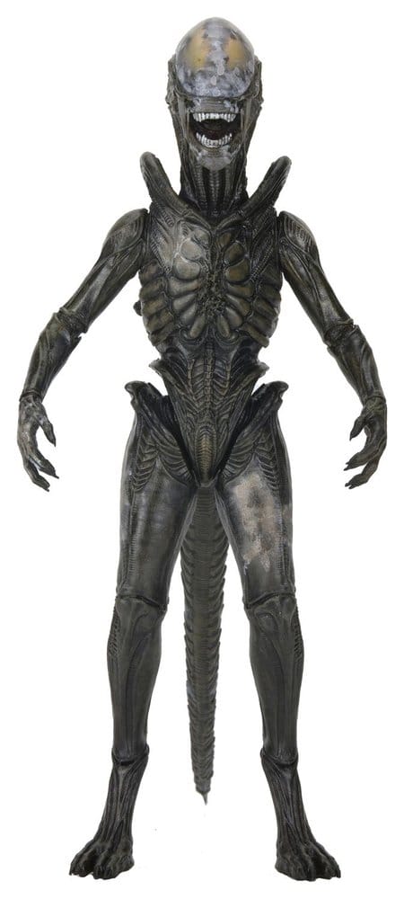 x_neca51766-01