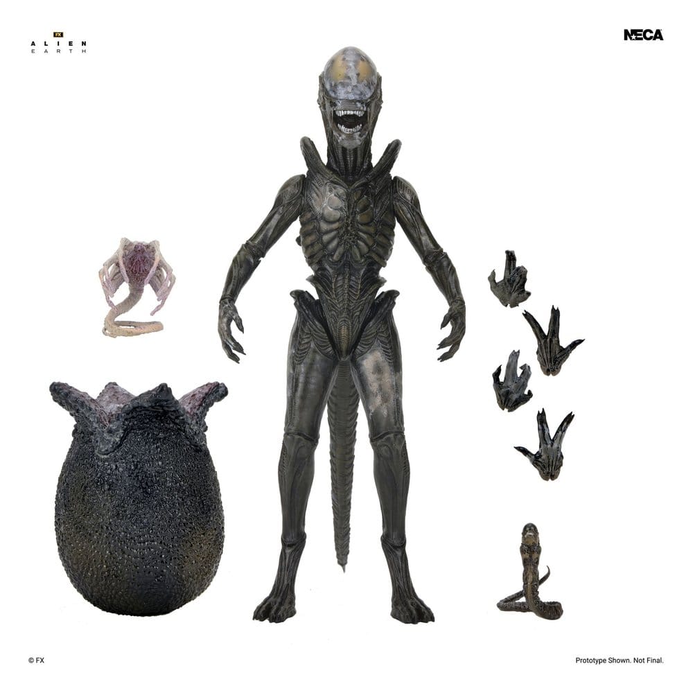 x_neca51766-01_a