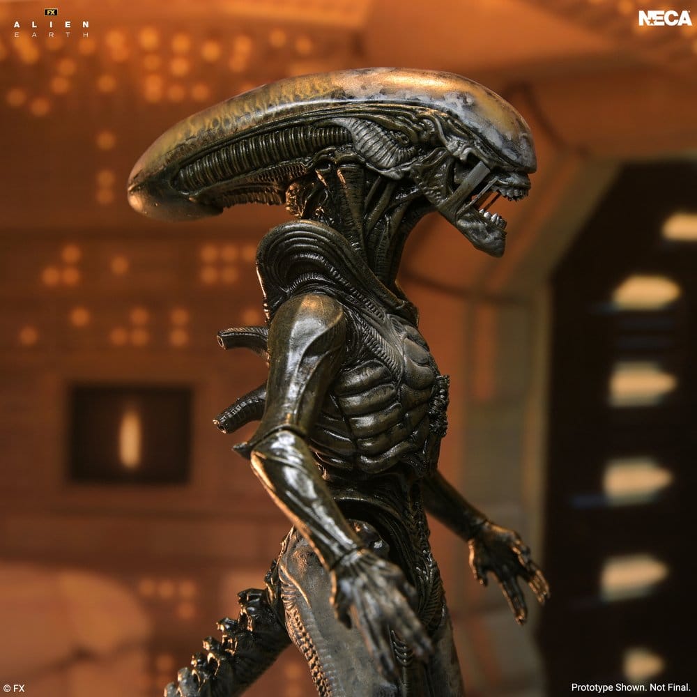 x_neca51766-01_c