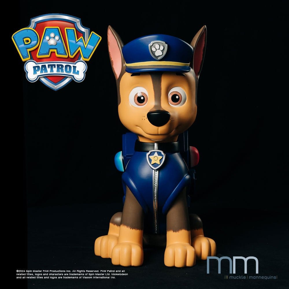 x_mm-ch-pawp-1