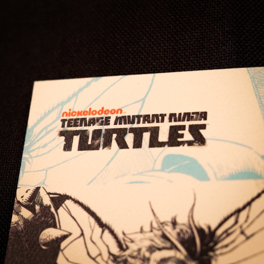 x_fntk-v-turt26_a