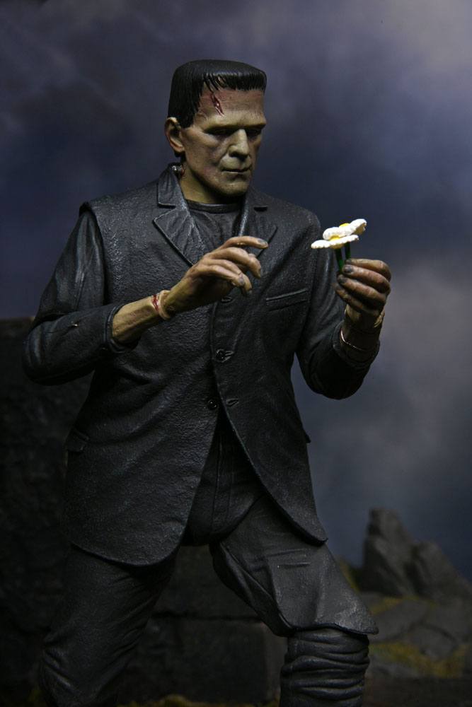 x_neca04804_h