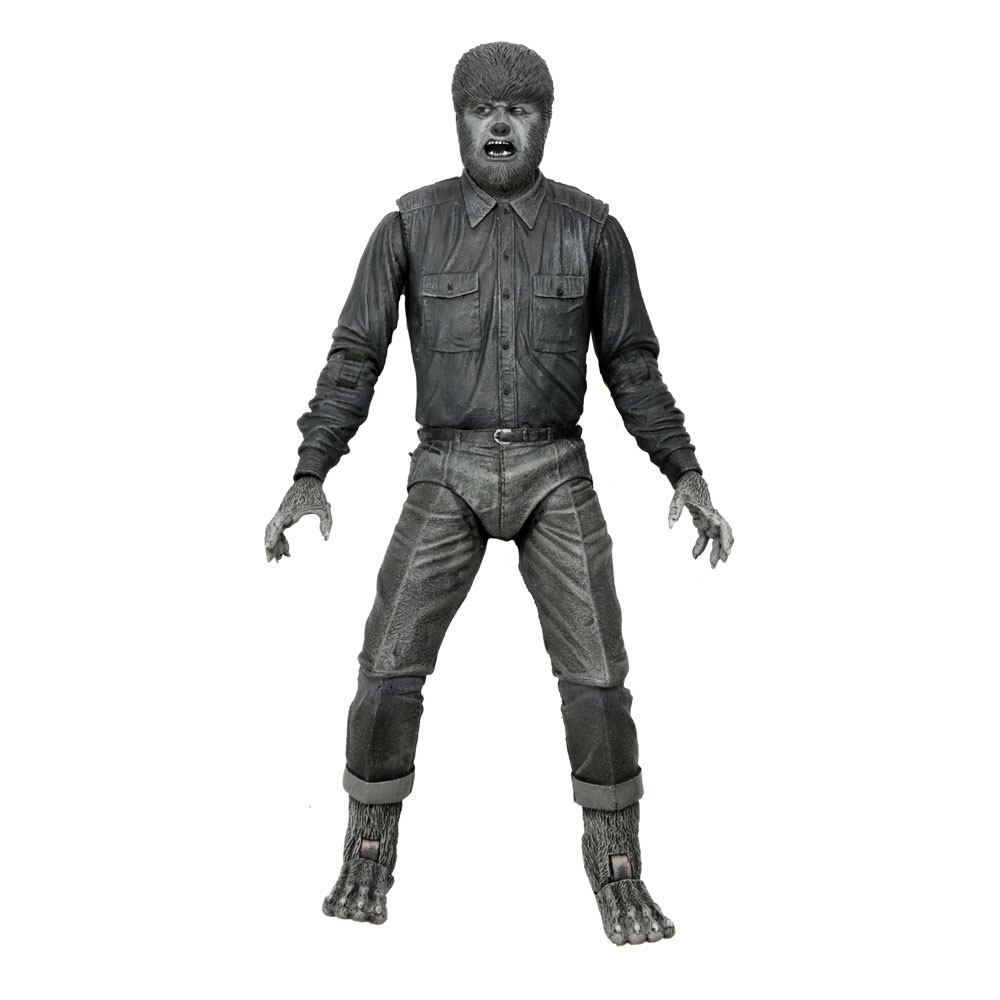 x_neca04810