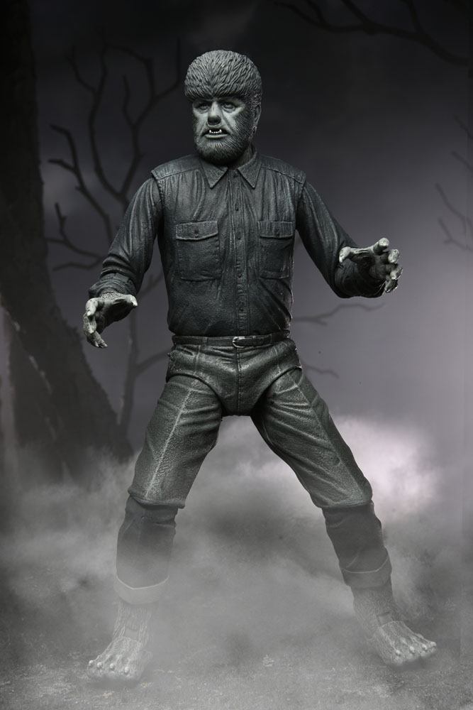 x_neca04810_a