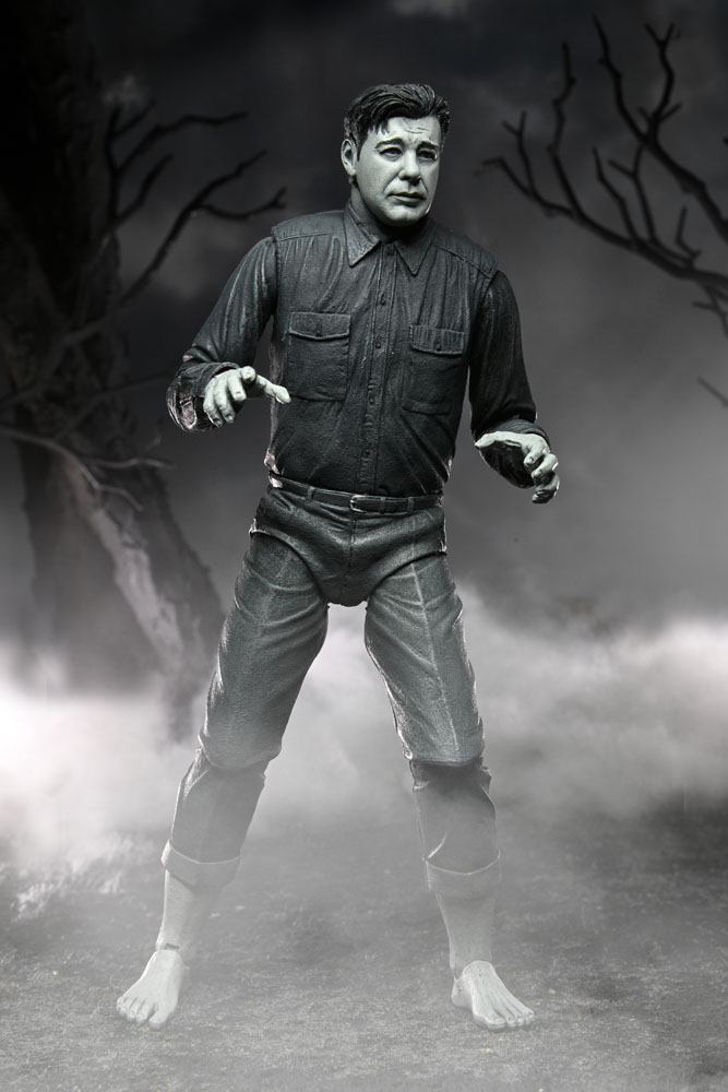x_neca04810_c