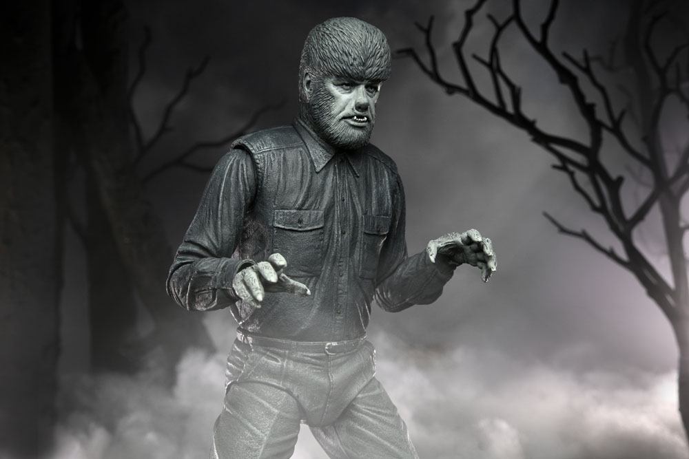 x_neca04810_k