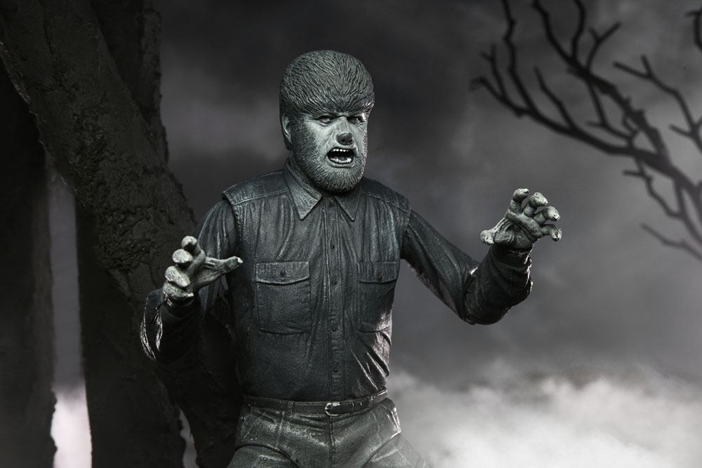 x_neca04810_n