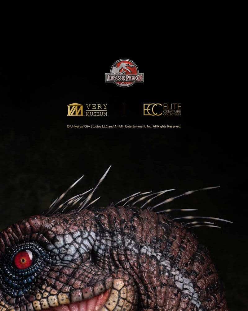 x_ecc19090_d
