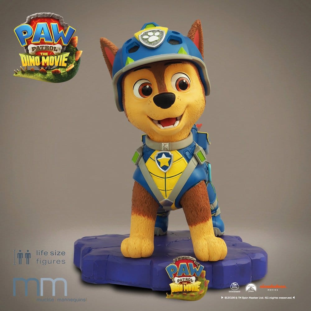 x_mm-ch-pawptdm-1
