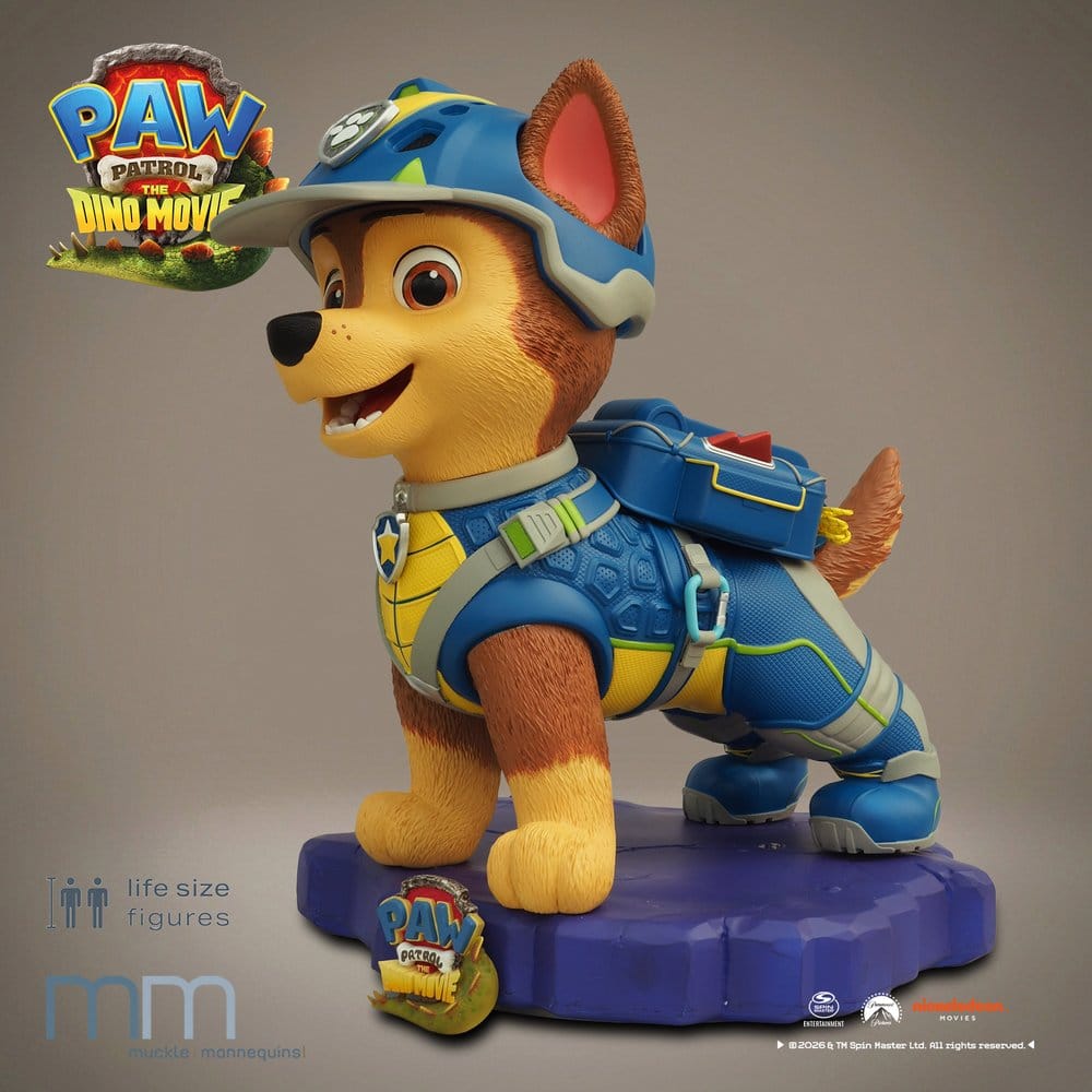 x_mm-ch-pawptdm-1_c