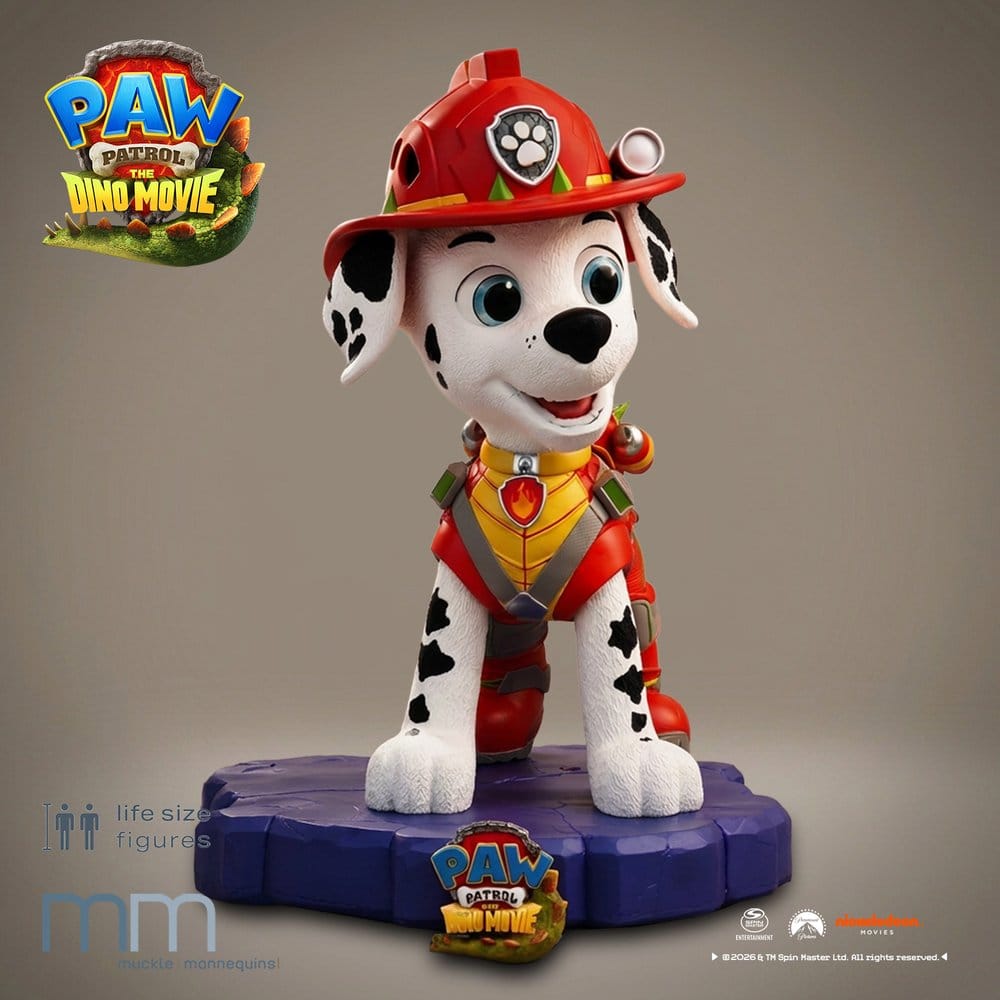 x_mm-ma-pawptdm-1
