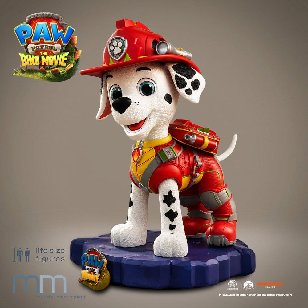 x_mm-ma-pawptdm-1_a