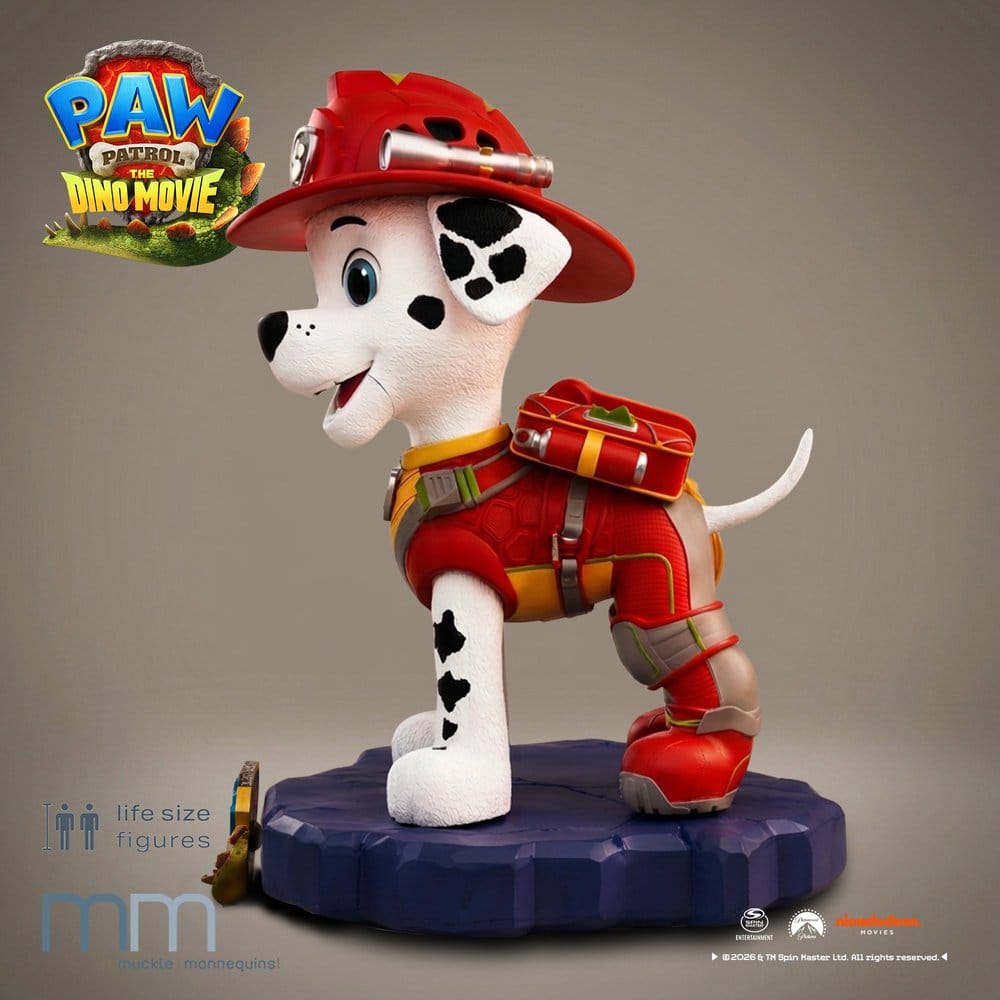 x_mm-ma-pawptdm-1_b