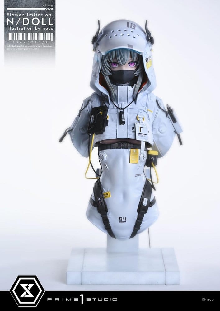 x_p1scmneco-01