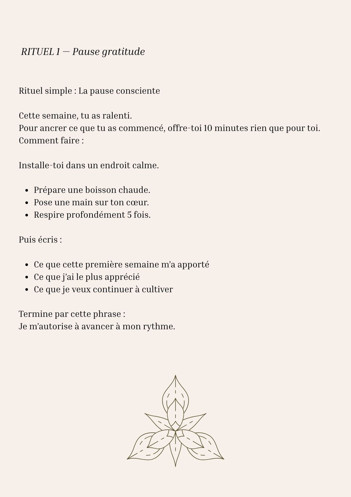 journal de gratitude  (4)