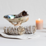 Design sans titre (45)