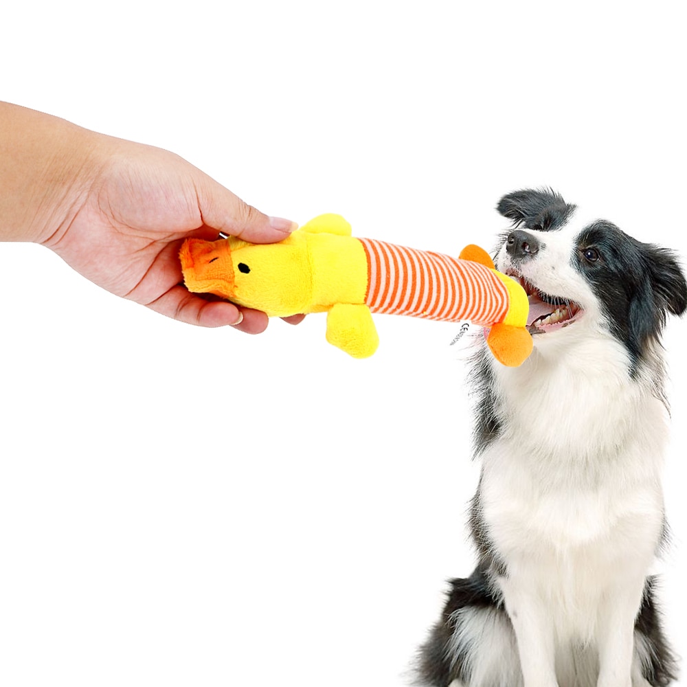 jouet en peluche pour animaux de compagnie jouets