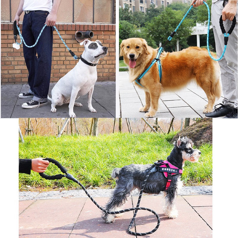 Laisse-pour-chien-de-compagnie-robuste-r-fl-chissante-id-ale-pour-les-grands-moyens-et