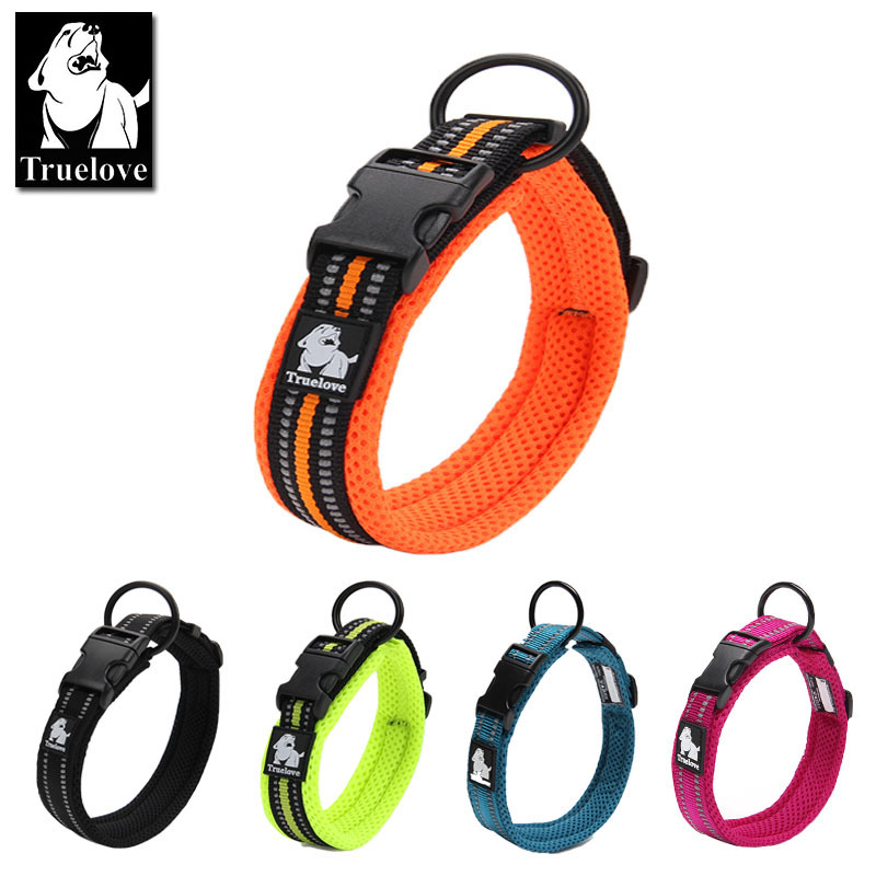 Collier pour chien